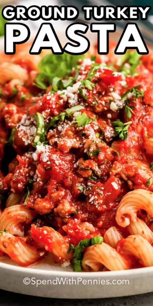 close up of Ground Turkey Pasta Sauce with a title