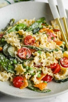 plated Creamy Pasta Primavera