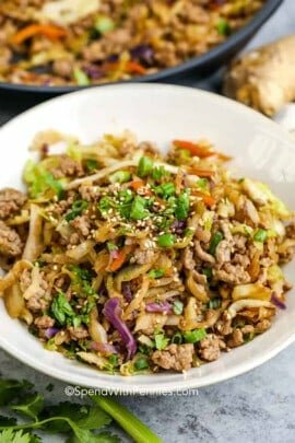 close up photo of Egg Roll in a Bowl