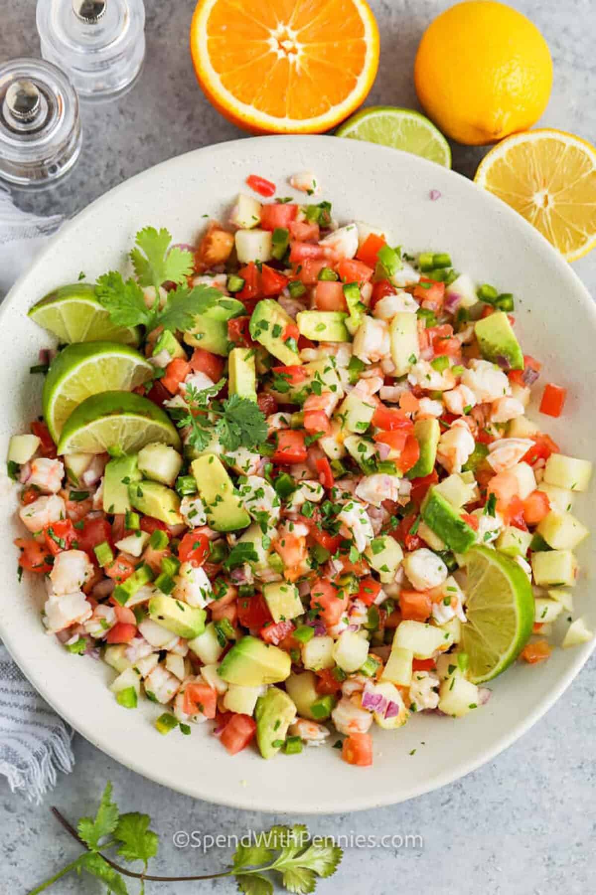 plated Easy Shrimp Ceviche